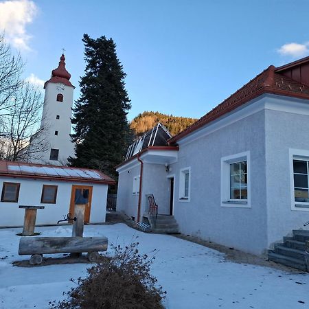 Апартаменты Haus Steiner Teufenbach  Экстерьер фото